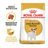 Royal Canin Jack Russel Terrier Adult - granule pre dospelých psov Jack Russell Terrier 1,5 kg Royal Canin Jack Russel Terrier Adult - granule pre dospelých psov Jack Russell Terrier 1,5 kg