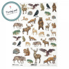 Ryžový papier ITD2122 Ryžový papier ITD2122