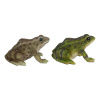 Polyresínová záhradná soška Frog – Esschert Design Polyresínová záhradná soška Frog – Esschert Design