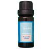 Esenciálny olej Aníz Venoc 10 ml hormonálna sústava Esenciálny olej Aníz Venoc 10 ml hormonálna sústava
