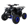 mamido Detská benzínová štvorkolka RamiGO WILDPEAK 110CC čierno-modrá mamido Detská benzínová štvorkolka RamiGO WILDPEAK 110CC čierno-modrá