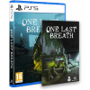 One Last Breath PlayStation 5 (PS5) krabicová verzia One Last Breath PlayStation 5 (PS5) krabicová verzia