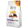 BRIT Animals Rat 300g BRIT Animals Rat 300g