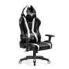 Nábytek PEGAS Herní kancelářské křeslo X Horn 2.0 Normální velikost, černobílé Nábytek PEGAS Herní kancelářské křeslo X Horn 2.0 Normální velikost, černobílé