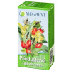 MEGAFYT Priedušková čajová zmes spc (záparové vrecúška) 20x1,5 g (30 g) MEGAFYT Priedušková čajová zmes spc (záparové vrecúška) 20x1,5 g (30 g)