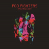 Foo Fighters - Wasting Light (CD) Foo Fighters - Wasting Light (CD)