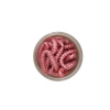 BERKLEY Osia larva 2.5cm Cesnak Bubblegum, 55ks BERKLEY Osia larva 2.5cm Cesnak Bubblegum, 55ks