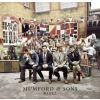 Mumford & Sons Babel • VINYL Mumford & Sons Babel • VINYL