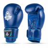 Boxerské rukavice DBX BUSHIDO arb-407-BLUE 10 oz Boxerské rukavice DBX BUSHIDO arb-407-BLUE 10 oz