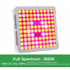 Osvetlenie pre rastliny - LED SVETLOVÝ PANEL NA PESTOVANIE RASTLÍN 300W PRO GROWBOX (Osvetlenie pre rastliny - LED SVETLOVÝ PANEL NA PESTOVANIE RASTLÍN 300W PRO GROWBOX) Osvetlenie pre rastliny - LED SVETLOVÝ PANEL NA PESTOVANIE RASTLÍN 300W PRO GROWBOX (Osvetlenie pre rastliny - LED SVETLOVÝ PANEL NA PESTOVANIE RASTLÍN 300W PRO GROWBOX)