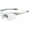 Alpina Twist SIX S HR V smoke-grey matt 4003692321299 Alpina Twist SIX S HR V smoke-grey matt 4003692321299