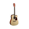 Akustická gitara Cort pre pravákov, typ Dreadnought, Western Akustická gitara Cort pre pravákov, typ Dreadnought, Western