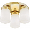 Argon Pasadena stropné svietidlo 3x15 W mosadzná-opalová 6165 Argon Pasadena stropné svietidlo 3x15 W mosadzná-opalová 6165