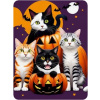 Diamantové maľovanie Norimpex 40x30 cm Tekvice a mačky na Halloween Diamantové maľovanie Norimpex 40x30 cm Tekvice a mačky na Halloween