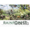 Rainforest - DK Rainforest - DK