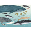 Velryby Velryby