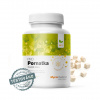 MycoMedica Pornatka PRO 90 kapsúl MycoMedica Pornatka PRO 90 kapsúl