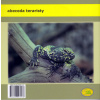 Trnorep africký - Abeceda teraristy - Ota Knobloch Trnorep africký - Abeceda teraristy - Ota Knobloch