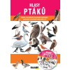 Hlasy ptáků + CD (Jozefa Chocholáčková) Hlasy ptáků + CD (Jozefa Chocholáčková)