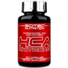 SCITEC NUTRITION Scitec HCA Chitosan 100 kapsúl 100 kapsúl