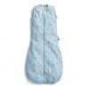 ERGOPOUCH Vak na spanie organická bavlna Jersey Dragonflies 3-12 m, 6-10 kg, 0,2 tog ERGOPOUCH Vak na spanie organická bavlna Jersey Dragonflies 3-12 m, 6-10 kg, 0,2 tog