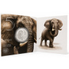 South African Mint strieborná minca minca Big Five Elephant 2021 v kartě 1 Oz South African Mint strieborná minca minca Big Five Elephant 2021 v kartě 1 Oz