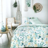 TODAY Sunshine obliečka Noelle 3.46 - 220x240 / 2x63x63 cm TODAY Sunshine obliečka Noelle 3.46 - 220x240 / 2x63x63 cm
