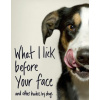 What I Lick Before Your Face ... and Other Haikus By Dogs What I Lick Before Your Face ... and Other Haikus By Dogs