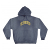 DC HAZE HOODIE NAVY BLAZER Veľkosť: L DC HAZE HOODIE NAVY BLAZER Veľkosť: L