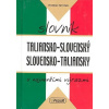 Taliansko - slovenský slovensko - taliansky slovník s najnovšími výrazmi - Roman Sehnal Taliansko - slovenský slovensko - taliansky slovník s najnovšími výrazmi - Roman Sehnal