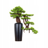 Dekoratívny bonsaj do interiéru, Borovica PN-30 Dekoratívny bonsaj do interiéru, Borovica PN-30