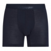 Icebreaker Merino 125 Anatomica Cool-Lite Boxers Men modrá L Icebreaker Merino 125 Anatomica Cool-Lite Boxers Men modrá L