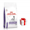 ROYAL CANIN Mature Consult Medium Dog 10kg + PREKVAPENIE PRE VÁŠHO PSA ROYAL CANIN Mature Consult Medium Dog 10kg + PREKVAPENIE PRE VÁŠHO PSA