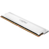 Crucial Pro OC/DDR5/16GB/6400MHz/CL38/1x16GB/White CP16G64C38U5W Crucial Pro OC/DDR5/16GB/6400MHz/CL38/1x16GB/White CP16G64C38U5W