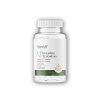 Ostrovit L-Theanine + Tyrosine vege 90 kapsúl Ostrovit L-Theanine + Tyrosine vege 90 kapsúl