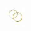 Ewena Náušnice ocelové kruhy 2,5 cm Gold + dárkové balení Ewena Náušnice ocelové kruhy 2,5 cm Gold + dárkové balení