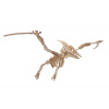 Woodcraft Drevené 3D puzzle Pterosaur Woodcraft Drevené 3D puzzle Pterosaur