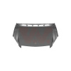 VAN WEZEL Kapota motora VAN WEZEL 3017660 VAN WEZEL Kapota motora VAN WEZEL 3017660