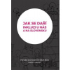 Jak se daří inkluzi u nás a na Slovensku? - Radek Vorlíček Jak se daří inkluzi u nás a na Slovensku? - Radek Vorlíček