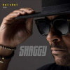 Shaggy - Hot Shot 2020 (Deluxe) CD Shaggy - Hot Shot 2020 (Deluxe) CD
