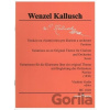 Variácie na vlastnú tému pre klarinet a orchester - Wenzel Kallusch Variácie na vlastnú tému pre klarinet a orchester - Wenzel Kallusch