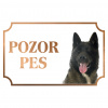 Akita Inu - Kovová tabuľka POZOR PES Akita Inu - Kovová tabuľka POZOR PES