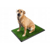 Absorpčná podložka pre psov Pro Pet 50x75 cm, opakovane použiteľná Absorpčná podložka pre psov Pro Pet 50x75 cm, opakovane použiteľná