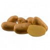 Sadbové zemiaky Agrie 12,5kg Sadbové zemiaky Agrie 12,5kg Sadbové zemiaky Agrie 12,5kg Sadbové zemiaky Agrie 12,5kg