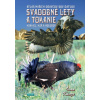 Svadobné lety a tokanie - Ivan Kňaze Svadobné lety a tokanie - Ivan Kňaze