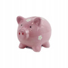 Prasiatko pokladnička X6492-05 Prasiatko pokladnička X6492-05