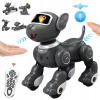 INTERAKTÍVNY ROBOT PES DIAĽKOVO OVLÁDANÝ CHODIACI ROBO-PES PRE DETI OD 3 ROKOV INTERAKTÍVNY ROBOT PES DIAĽKOVO OVLÁDANÝ CHODIACI ROBO-PES PRE DETI OD 3 ROKOV