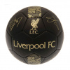 FC Liverpool fotbalová mini lopta Skill Ball Signature Gold PH size 1 - Zľavový kód:XMAS10 (-10%) FC Liverpool fotbalová mini lopta Skill Ball Signature Gold PH size 1 - Zľavový kód:XMAS10 (-10%)