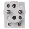 ZASTRCKA UHLOVA 5536-2154 ZASTRCKA UHLOVA 5536-2154