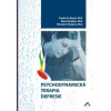 Psychodynamická terapia depresie - Fredric N. Busch, Marie Rudden, Theodore Shapiro Psychodynamická terapia depresie - Fredric N. Busch, Marie Rudden, Theodore Shapiro